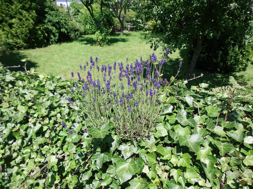 Apartment In Langewiese Sauerland With Garden Winterberg Zewnętrze zdjęcie