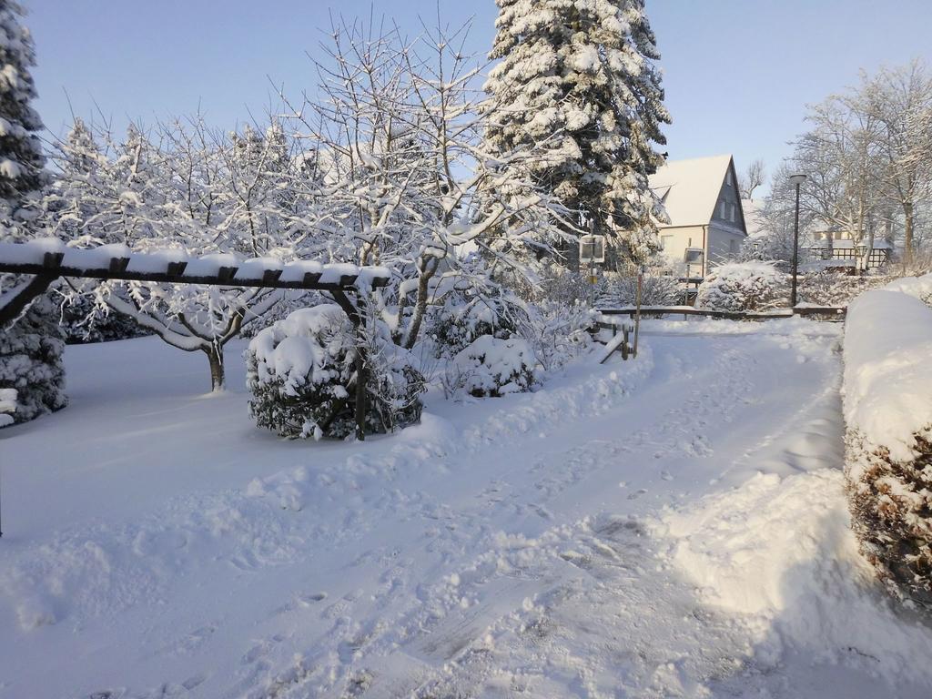 Apartment In Langewiese Sauerland With Garden Winterberg Zewnętrze zdjęcie