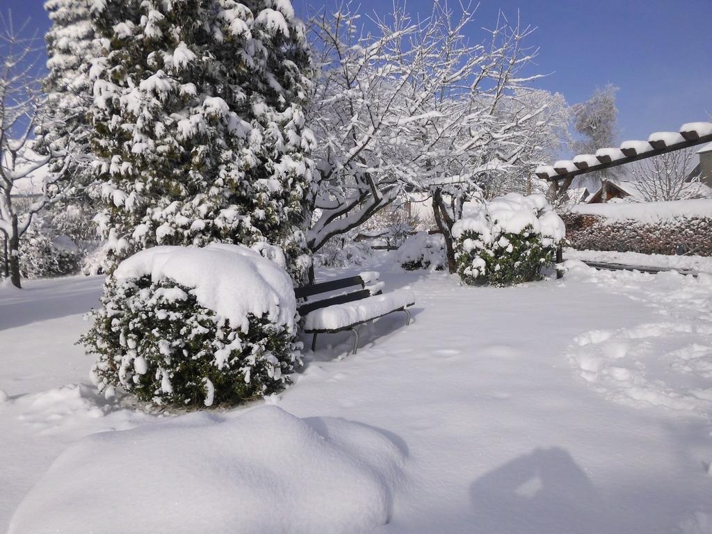 Apartment In Langewiese Sauerland With Garden Winterberg Zewnętrze zdjęcie