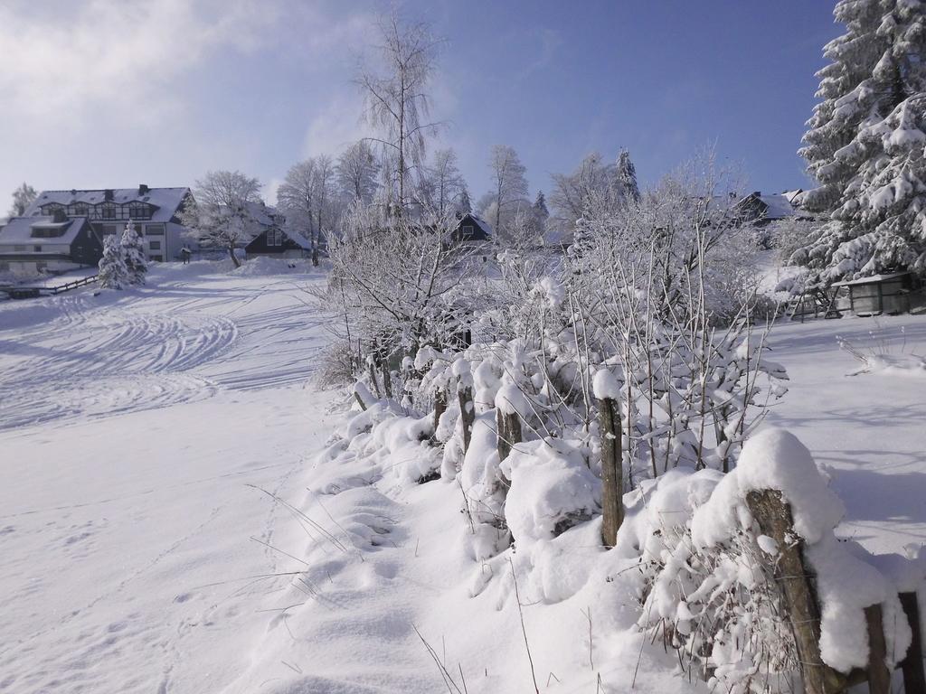 Apartment In Langewiese Sauerland With Garden Winterberg Zewnętrze zdjęcie