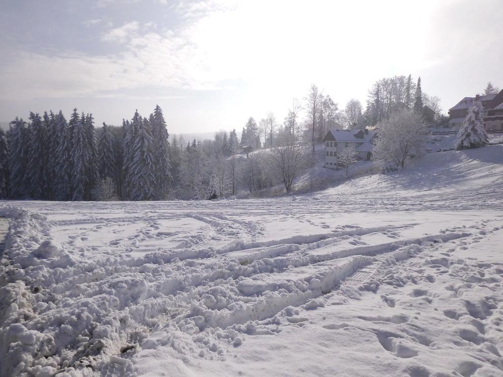 Apartment In Langewiese Sauerland With Garden Winterberg Zewnętrze zdjęcie